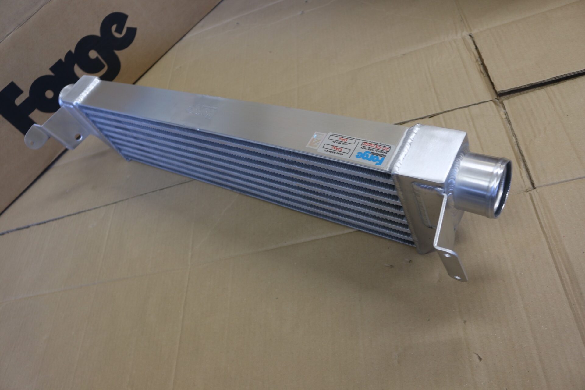 forge_blog20260219-7